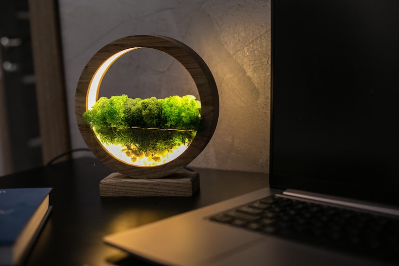 May include: A wooden, circular lamp with a built-in light, showcasing a miniature landscape of green moss and a reflective surface. The lamp sits on a wooden base, with a laptop and a book in the background.