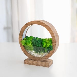 May include: A wooden, circular terrarium with a natural aesthetic. The frame is made of light-colored wood, enclosing a miniature landscape of green moss and small white stones. The terrarium sits on a rectangular wooden base.