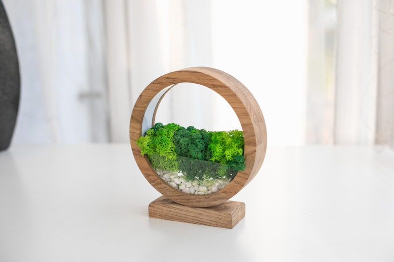 May include: A wooden, circular terrarium with a natural aesthetic. The frame is made of light-colored wood, enclosing a miniature landscape of green moss and small white stones. The terrarium sits on a rectangular wooden base.
