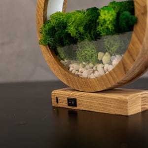 May include: A wooden, circular terrarium with a glass front, filled with green moss and small white stones. The terrarium sits on a rectangular wooden base with a black on/off switch. The wood has a natural grain.