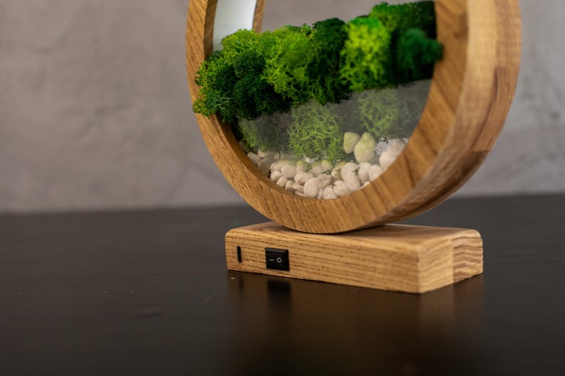 May include: A wooden, circular terrarium with a glass front, filled with green moss and small white stones. The terrarium sits on a rectangular wooden base with a black on/off switch. The wood has a natural grain.