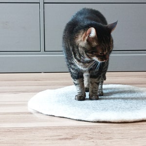 Könnte beinhalten: Eine getigerte Katze steht auf einem hellgrauen, ovalen Haustierbett. Die Katze hat braun-schwarz gestreiftes Fell. Das Haustierbett besteht aus einem weichen, filzartigen Material und liegt auf einem Holzboden.