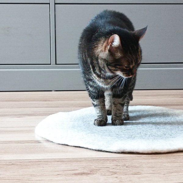 PET MAT / Ombre color pet bed / cat mat / sleeping pad / dog mat / rug / sleeping place / cat nap mat / padding