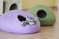 Modern Wool Cat Cave Bed: Purple Pet Hideaway product logo