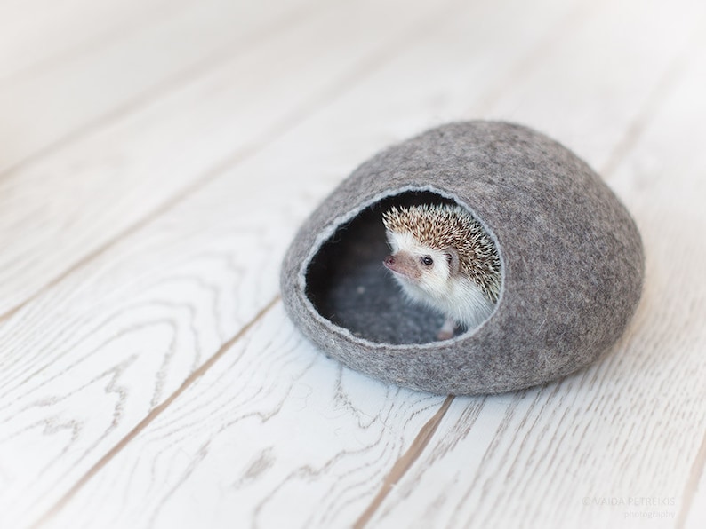 Hedgehog Bed / Small Animal Cave / Small Pet Bed / Felted Pet Etsy