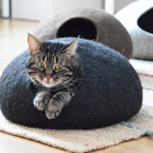 May include: A tabby cat resting inside a dark gray felt cat bed. The cat bed is round and has a hole for the cat to enter. The cat is looking directly at the camera.