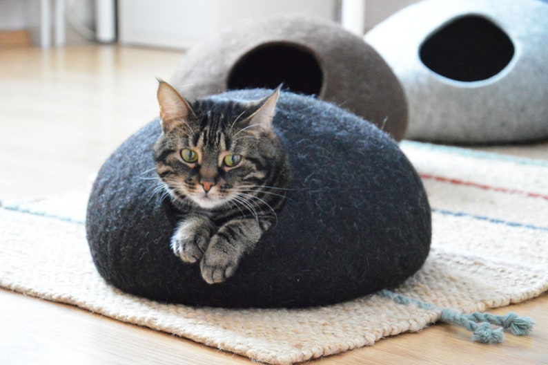 May include: A tabby cat resting inside a dark gray felt cat bed. The cat bed is round and has a hole for the cat to enter. The cat is looking directly at the camera.