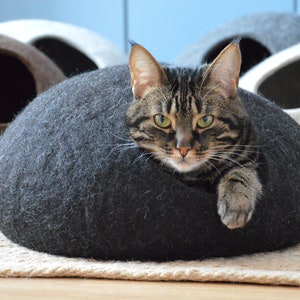 May include: A tabby cat with green eyes peeks out of a gray felt cat bed. The bed is shaped like a rounded oval with a hole for the cat to enter.