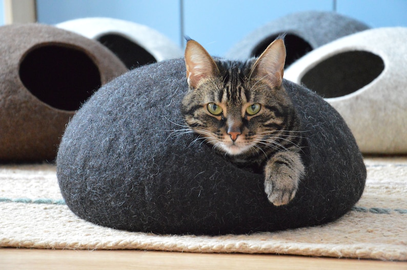 May include: A tabby cat with green eyes peeks out of a gray felt cat bed. The bed is shaped like a rounded oval with a hole for the cat to enter.