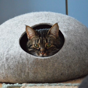 May include: A gray felt cat bed shaped like a large, round stone. A tabby cat with green eyes peeks out from the opening.