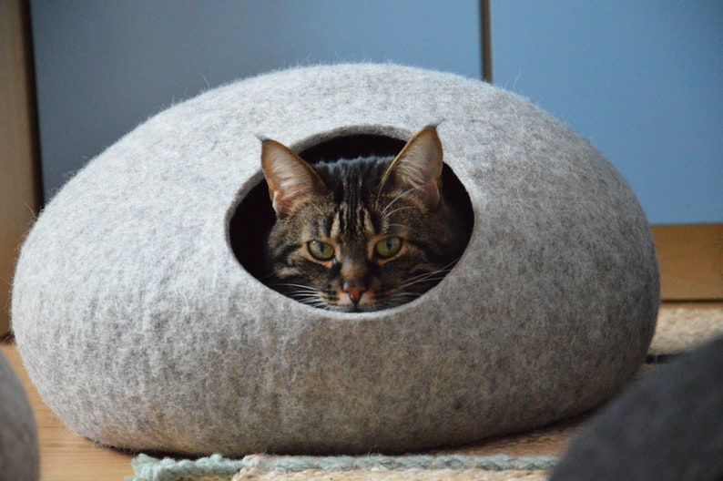 May include: A gray felt cat bed shaped like a large, round stone. A tabby cat with green eyes peeks out from the opening.