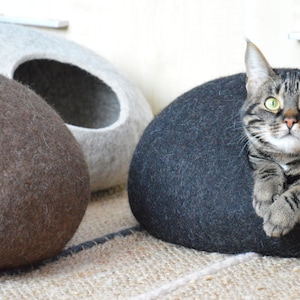May include: Three felt cat beds in gray, brown, and black. A tabby cat is sitting in the black bed, looking directly at the camera.