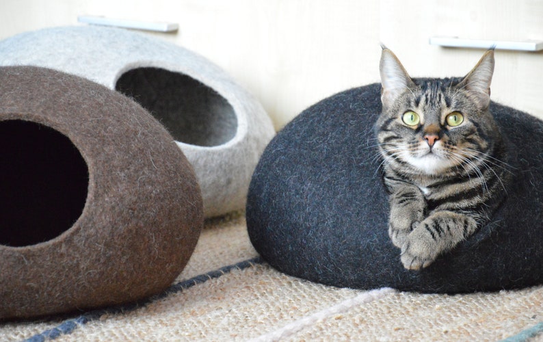May include: Three felt cat beds in gray, brown, and black. A tabby cat is sitting in the black bed, looking directly at the camera.