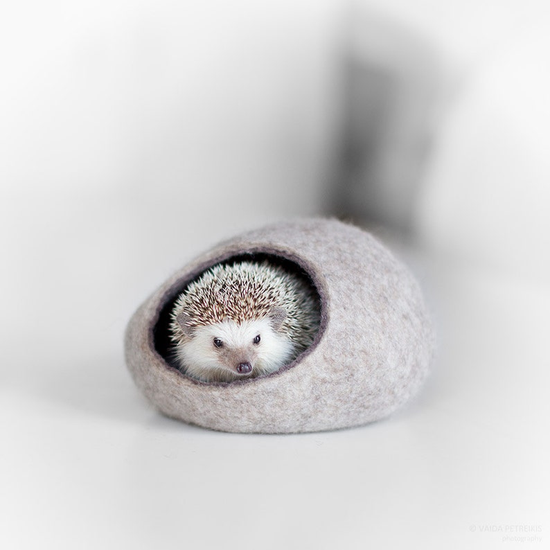 Hedgehog bed / small animal cave / small pet bed / felted pet house / ferret cocoon / nap pouch image 1
