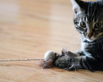 Cat toy / Kitten toy / Cat teaser toy - wool ball with feathers