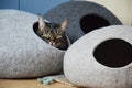 Modern Cat Cave Bed: Cozy Hideaway for Pets product logo