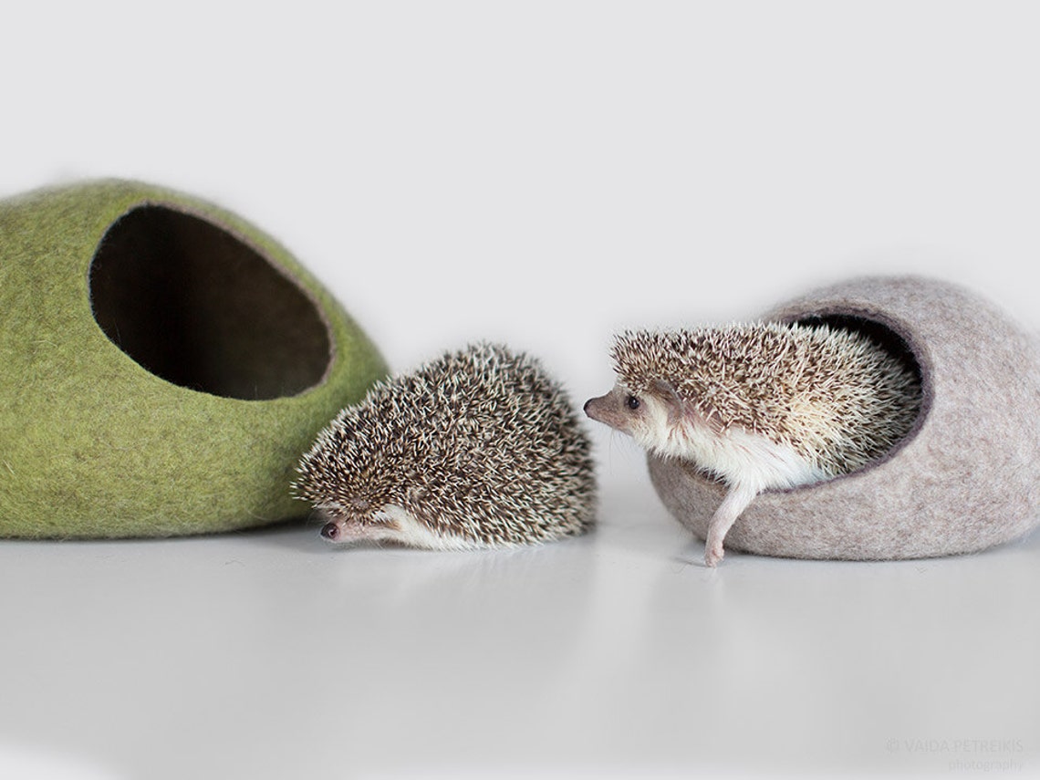 Hedgehog Bed / Small Animal Cave / Small Pet Bed / Felted Pet Etsy