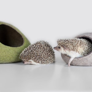 Hedgehog bed / small animal cave / small pet bed / felted pet house / ferret cocoon / nap pouch image 2