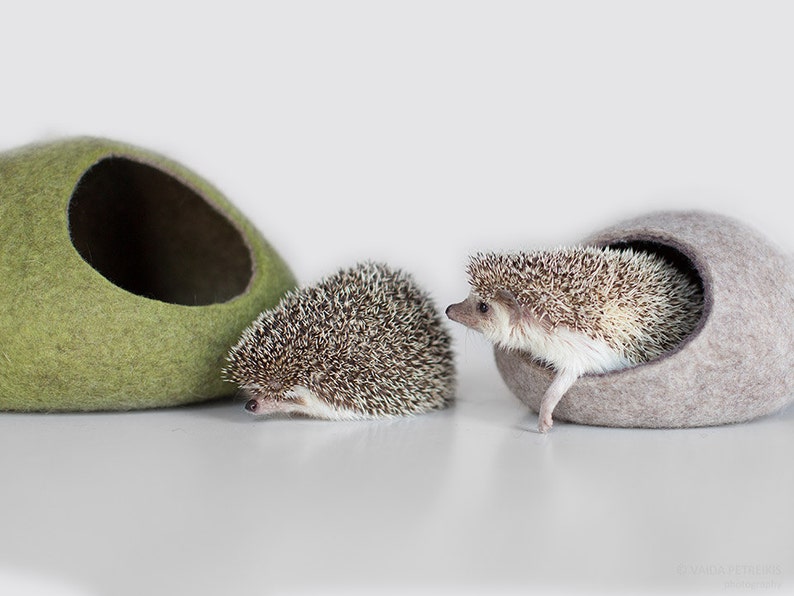 Hedgehog bed / small animal cave / small pet bed / felted pet house / ferret cocoon / nap pouch image 2