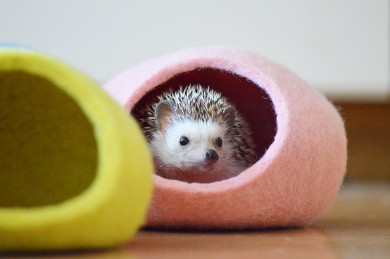 Hedgehog bed / small animal cave / small pet bed / felted pet house / small pet furniture / ferret cocoon / nap pouch / hamster house. image 4