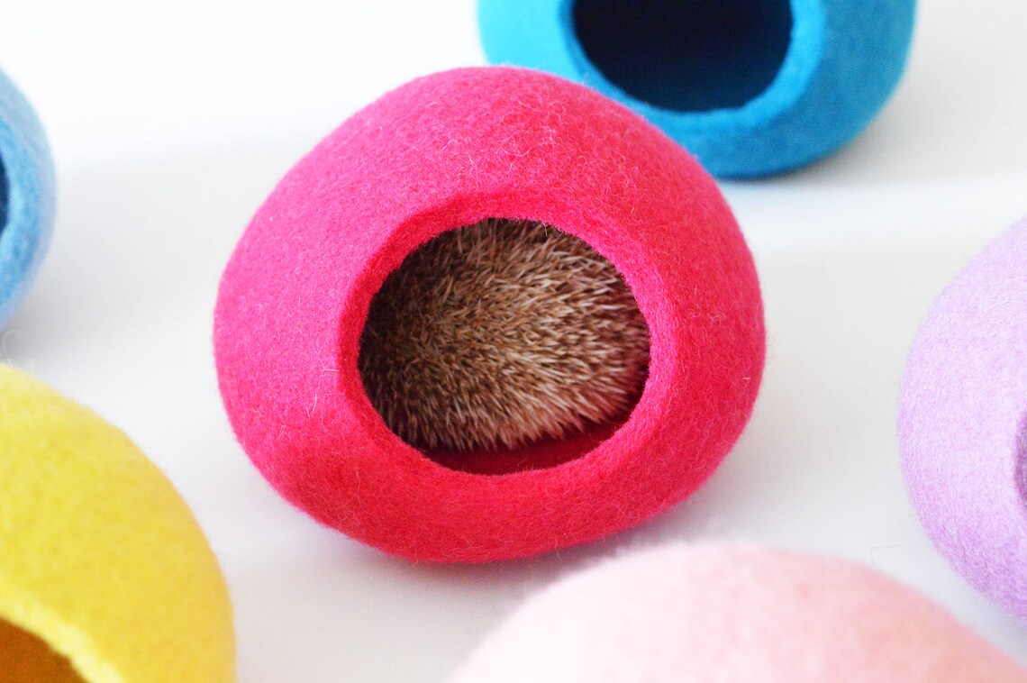 Hedgehog Bed / Small Animal Cave / Small Pet Bed / Felted Pet - Etsy