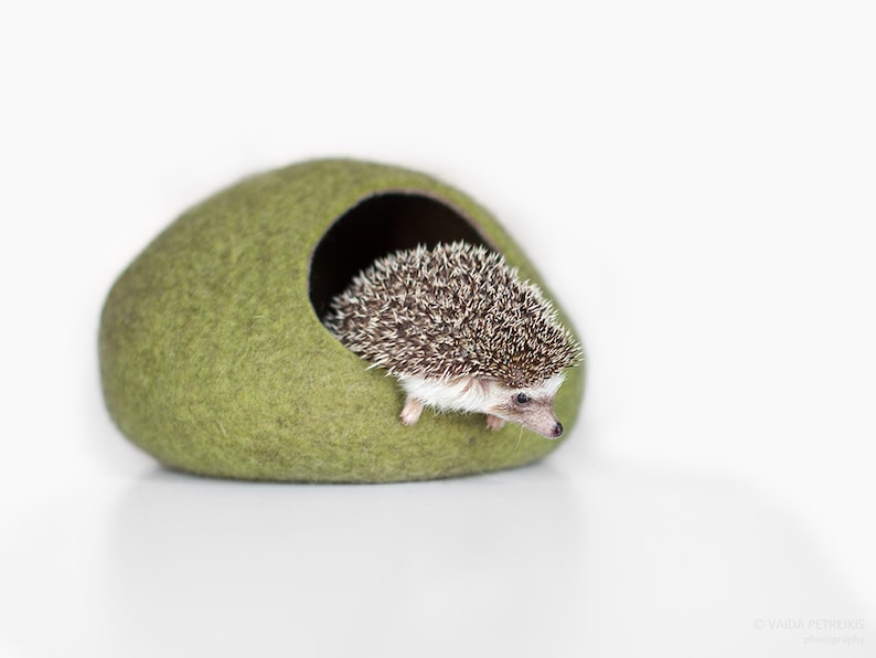 Hedgehog Bed / Small Animal Cave / Small Pet Bed / Felted Pet Etsy