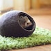 see more listings in the PET BEDS section