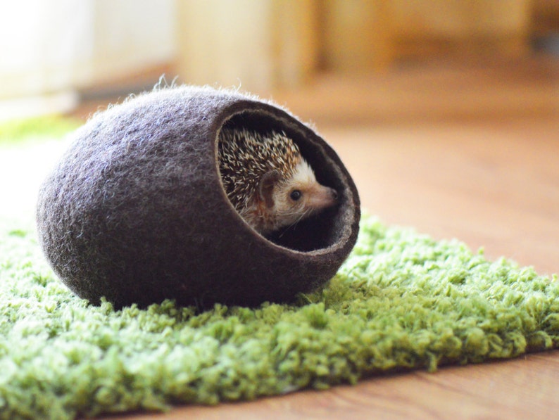 Hedgehog Bed / Small Animal Cave / Small Pet Bed / Felted Pet Etsy UK