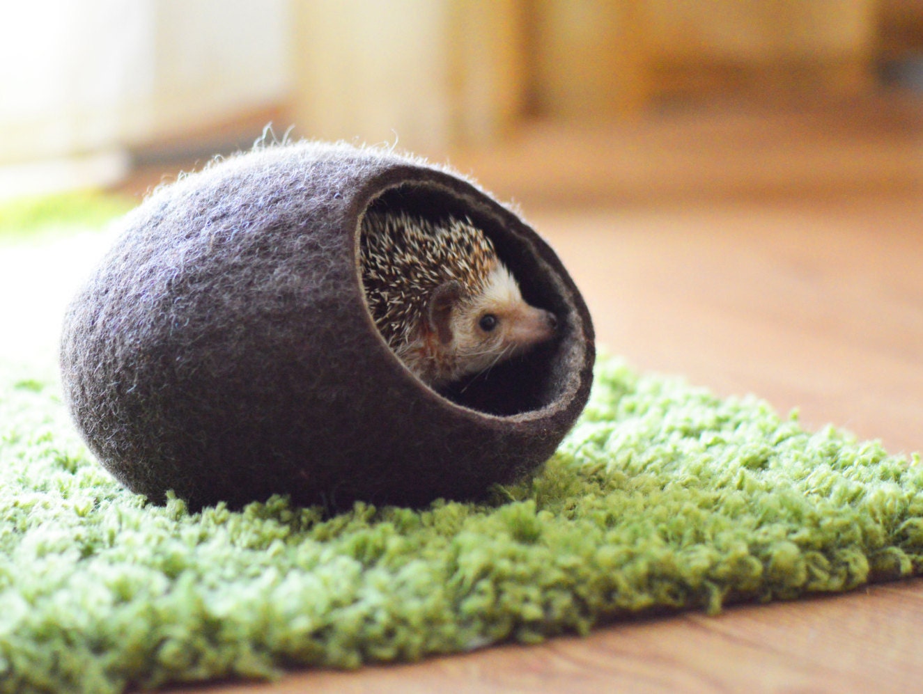 Lit de Hérisson/Grotte Pour Petits Animaux Petit Lit Compagnie Maison Feutrée Cocon Furet Sachet Sie