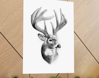 May include: Black and white pencil drawing of a deer with large antlers. The artwork is a detailed illustration of the deer's head and antlers, showcasing shading and texture. The image is mounted on a white background.