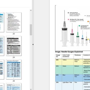 CPhT Study Guide – Pass the PTCE & ExCPT in 2026 (95 Pages) image 6