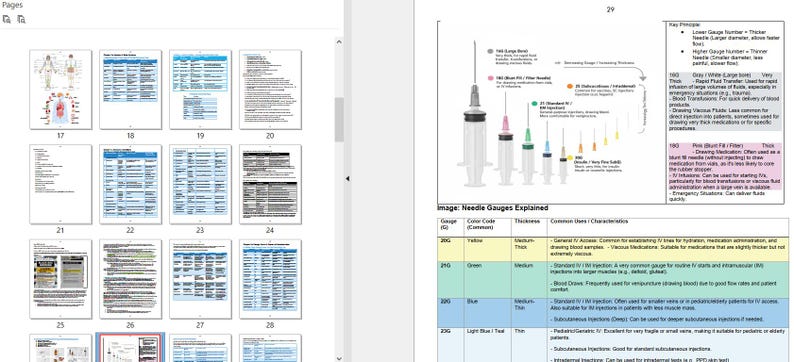 CPhT Study Guide – Pass the PTCE & ExCPT in 2026 (95 Pages) image 6