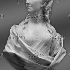 Baroque Ancient Bust Statues Clip Art Graphic Design Pattern for your art projects image 2