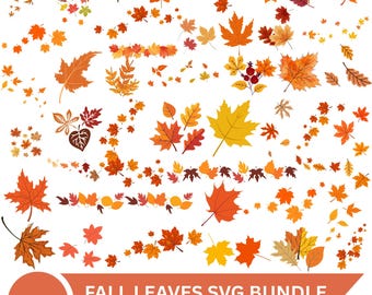 May include: A digital collection of various autumn leaves in shades of orange, red, yellow, and brown, featuring maple, oak, and birch shapes. The graphic includes scattered individual leaves, small clusters, and linear borders with the text FALL LEAVES SVG BUNDLE AI-EPS-JPG-PNG-SVG.