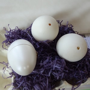 3pcs (5.5x9cm) Empty Goose-Egg Shell,Supplies,Egg -Shell Jewelry Box