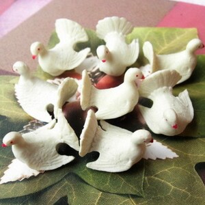 12 piezas de cabujones únicos y encantadores de palomas, blanco, pintura a mano