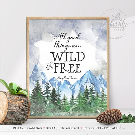 Henry David Thoreau Into The Wild – BQTTG
