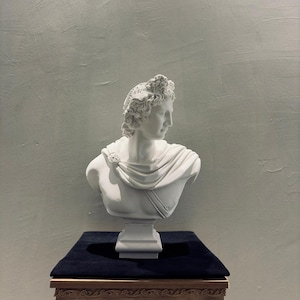 Könnte beinhalten: Eine weiße Büste einer klassischen Figur mit detaillierten Gesichtszügen und drapierten Kleidungsstücken. Die Skulptur steht auf einem mit schwarzem Samt bedeckten Sockel, der sich auf einem dekorativen, geschnitzten Holzständer befindet. Der Hintergrund ist eine strukturierte, hellgraue Wand.