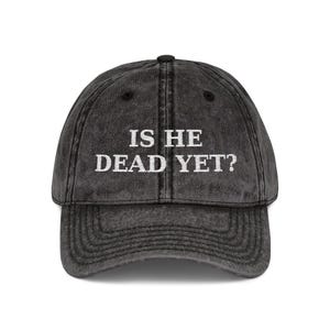 ¿Ya está muerto? Gorra anti-MAGA Trump / Gorra de béisbol vintage bordada imagen 4