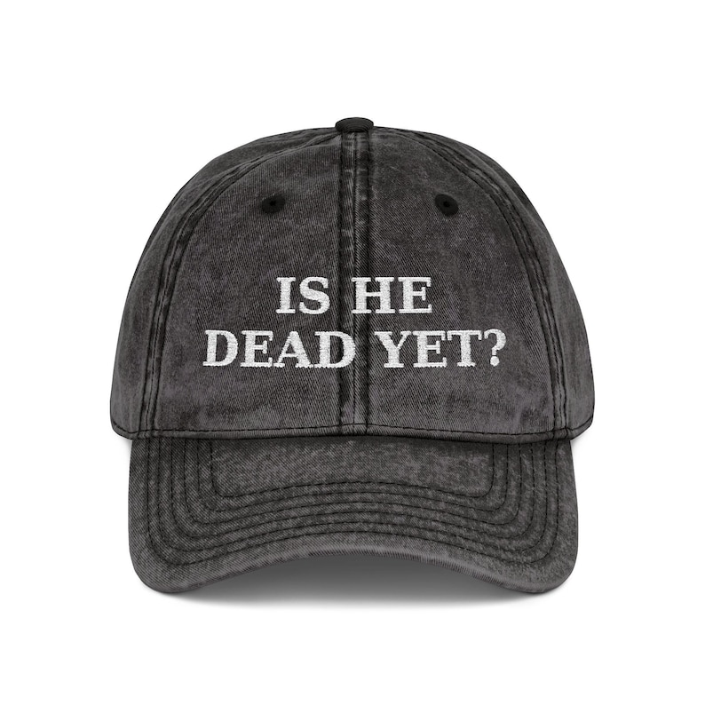 ¿Ya está muerto? Gorra anti-MAGA Trump / Gorra de béisbol vintage bordada imagen 4