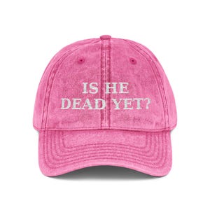 ¿Ya está muerto? Gorra anti-MAGA Trump / Gorra de béisbol vintage bordada imagen 6
