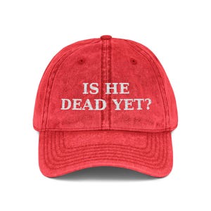 ¿Ya está muerto? Gorra anti-MAGA Trump / Gorra de béisbol vintage bordada imagen 3