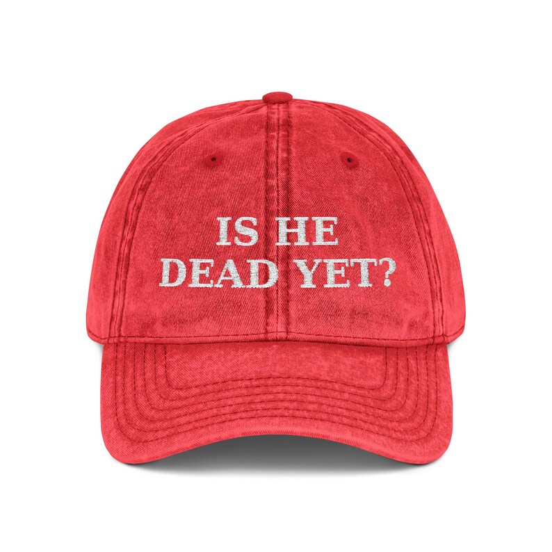 ¿Ya está muerto? Gorra anti-MAGA Trump / Gorra de béisbol vintage bordada imagen 3