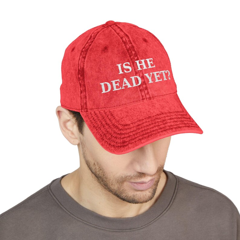 ¿Ya está muerto? Gorra anti-MAGA Trump / Gorra de béisbol vintage bordada imagen 1