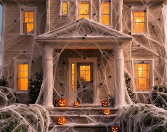 Halloween Spider Web Decoration with 10 Spiders, Stretchy Cobweb Decor