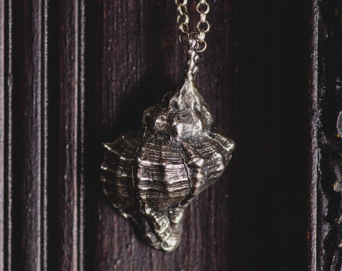 Sterling Silber Seashell Halskette-Sea Shell Anhänger-Muschel Schmuck-Chic Sommer Schmuck-Strandschmuck