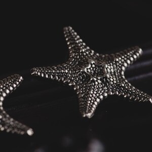 May include: Two silver starfish ornaments with a textured surface. The starfish are on a black background.