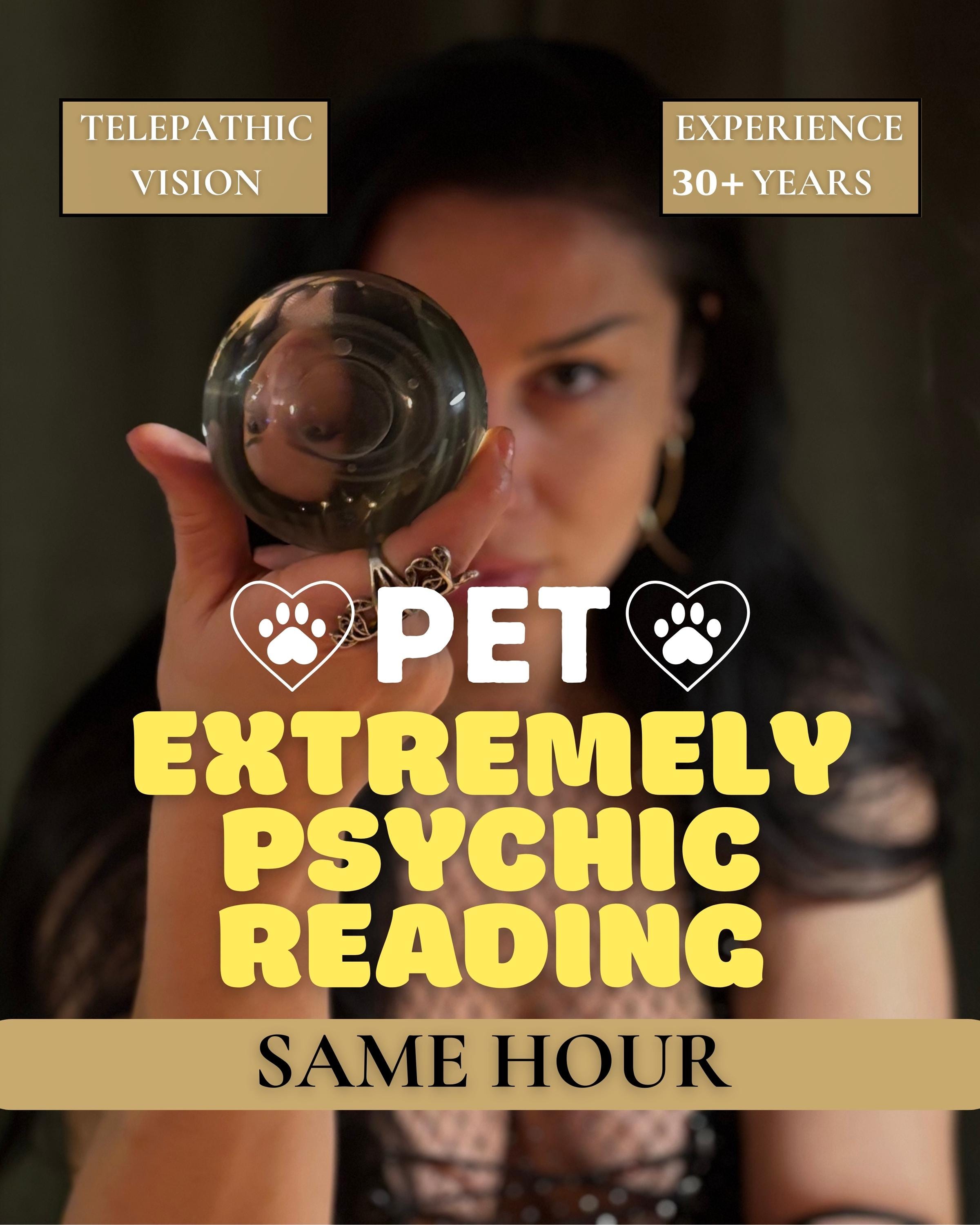 Zoom Pet Communicator - Etsy
