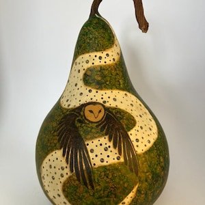 Könnte beinhalten: Eine birnenförmige Kürbis mit einem grünen und cremefarbenen Design. Die Kürbis zeigt eine geschnitzte Eule mit ausgebreiteten Flügeln. Das Design umfasst einen gewundenen cremefarbenen Pfad mit kleinen Löchern. Der Stiel ist braun und gebogen.