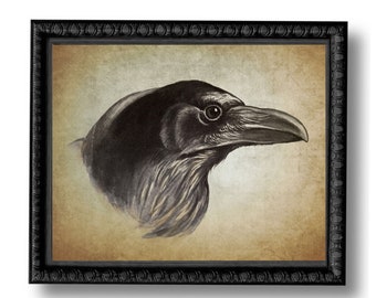 Raven Crow Blackbird Bird Vintage Style Art Print Natural History Halloween Goth